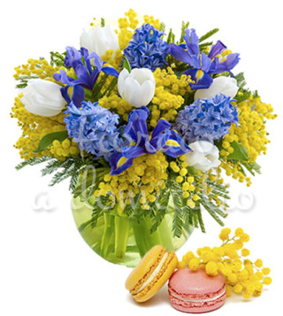 bouquet-di-mimose-tulipani-e-iris-con-macaron